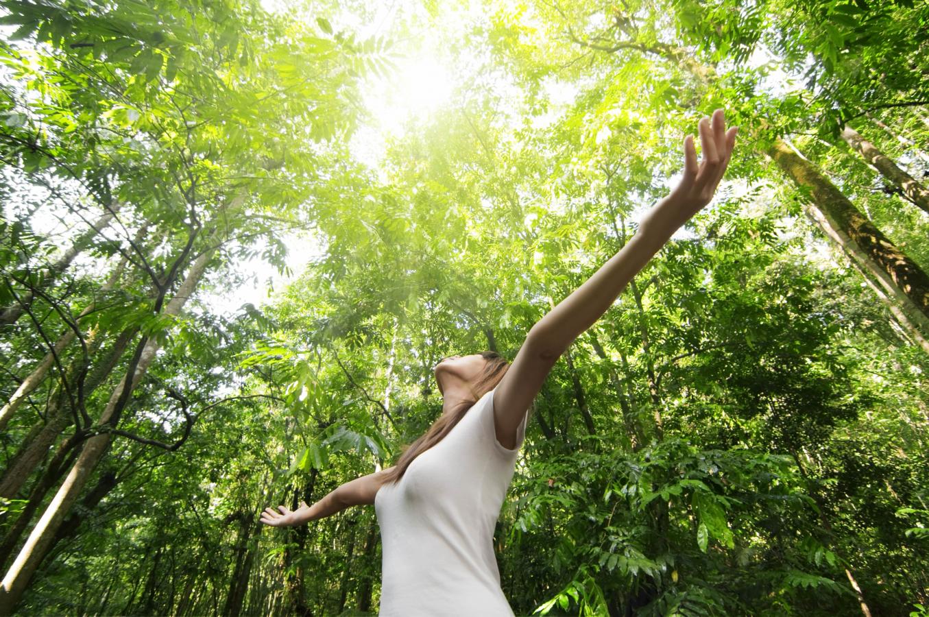 woman looking up at trees in forest